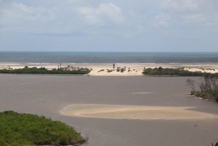 Cabure em Lençóis Maranhenses