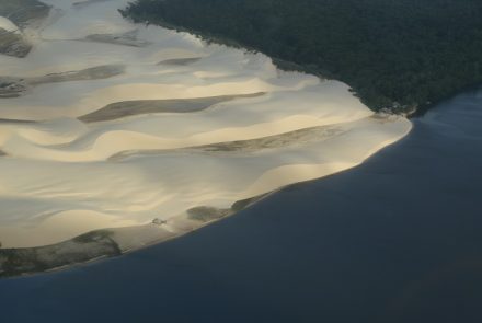 Vassouras
